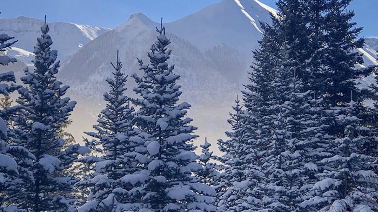 Photo of Others in Mountain Village