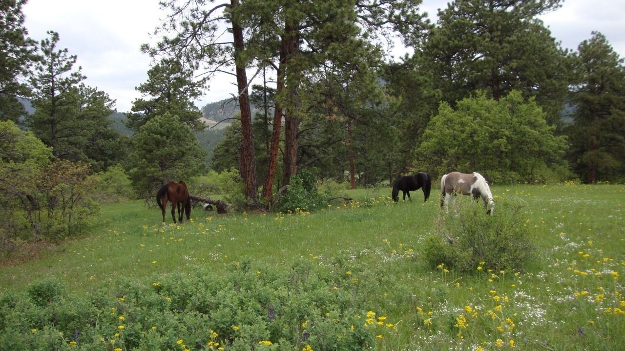 Photo of Outdoor in Littleton
