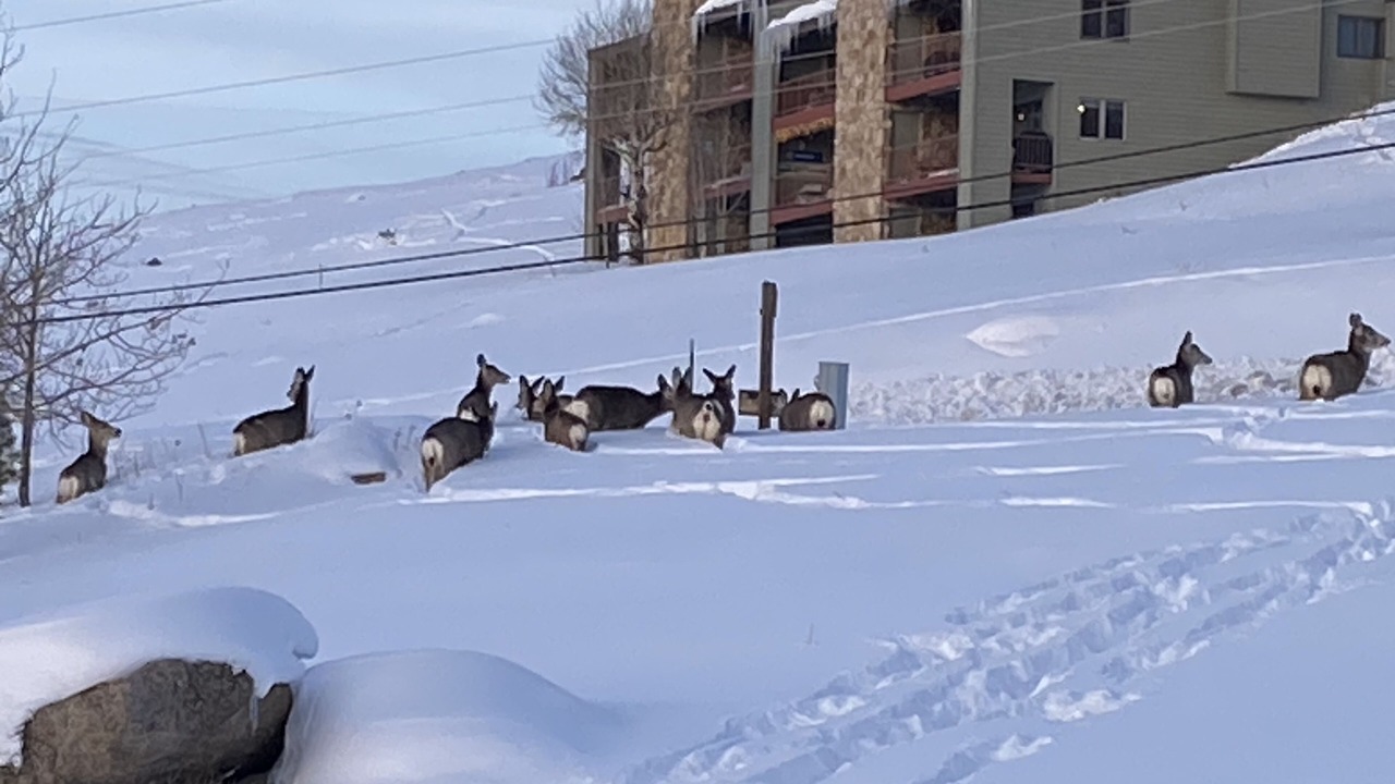 Photo of Others in Silvercreek
