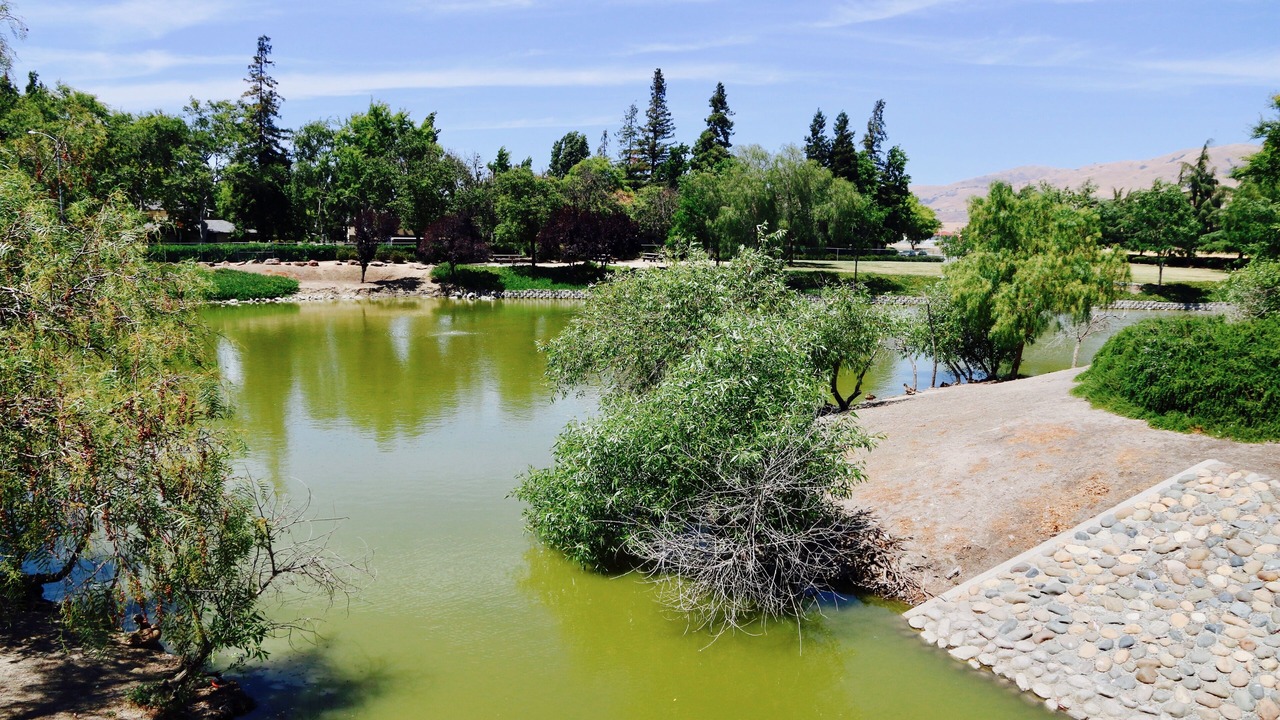Photo of Others in Milpitas