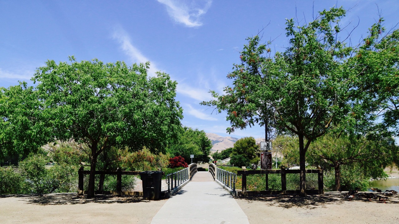 Photo of Others in Milpitas