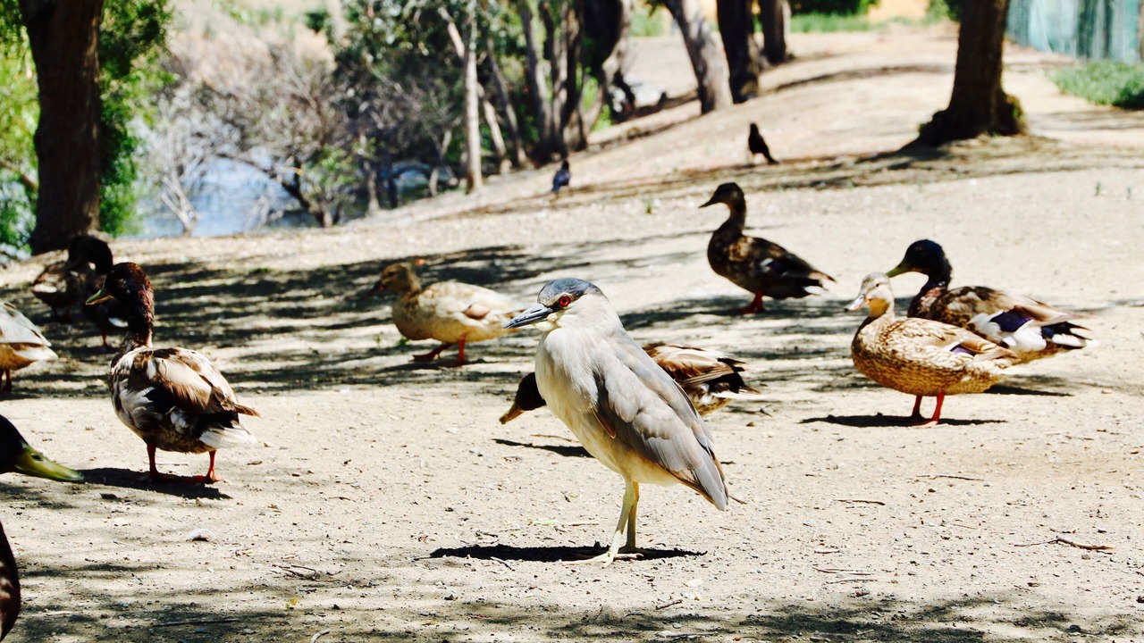 Photo of Others in Milpitas