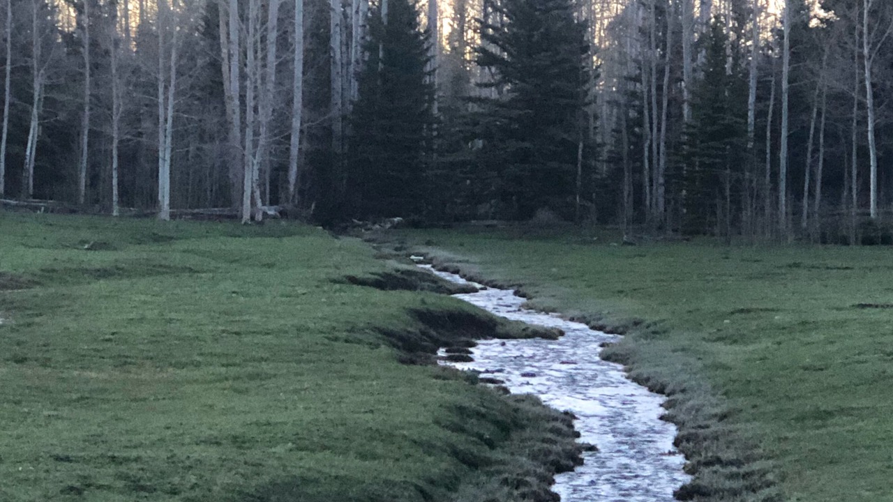 Photo of Others in Elk Meadows