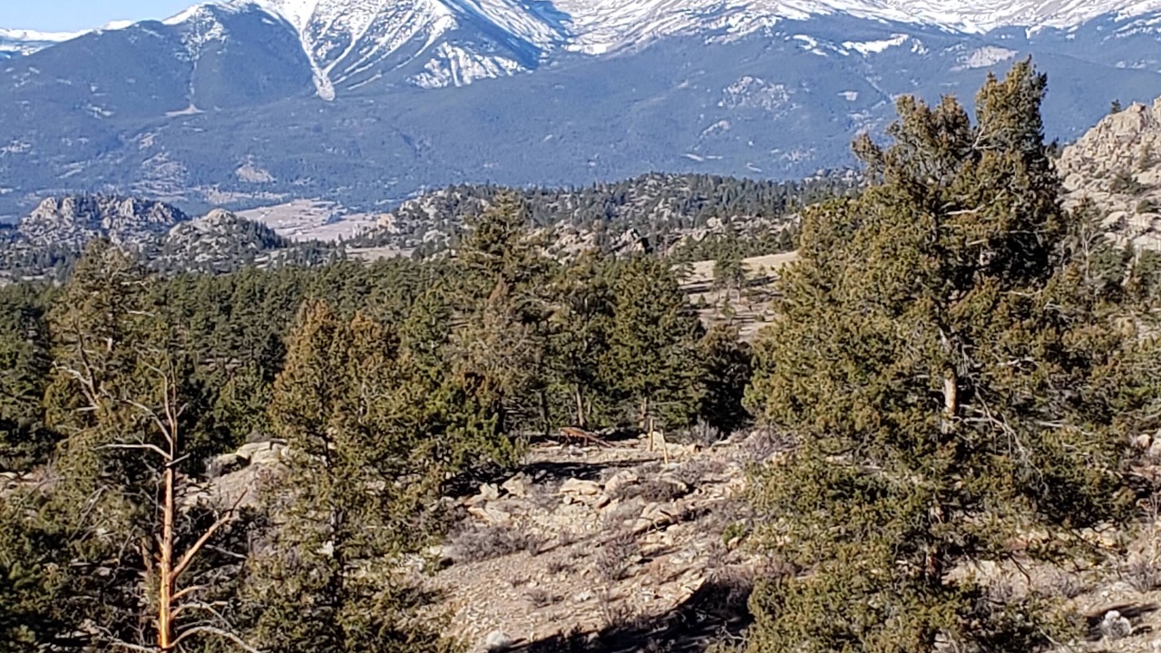 Photo of Others in Buena Vista