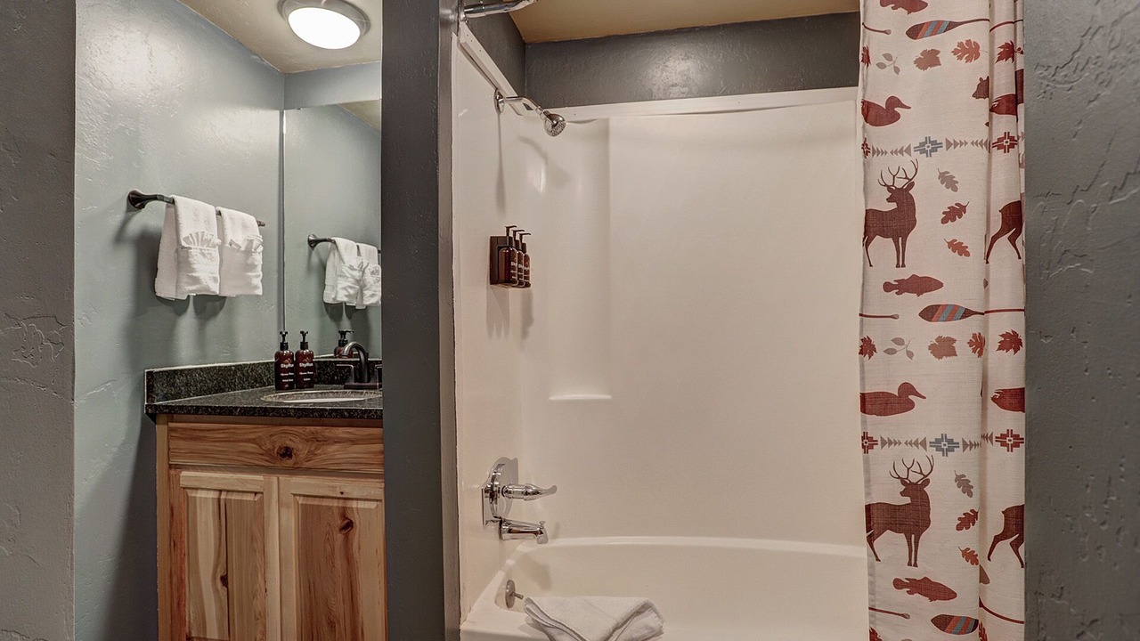 Photo of Bathroom in Copper Mountain