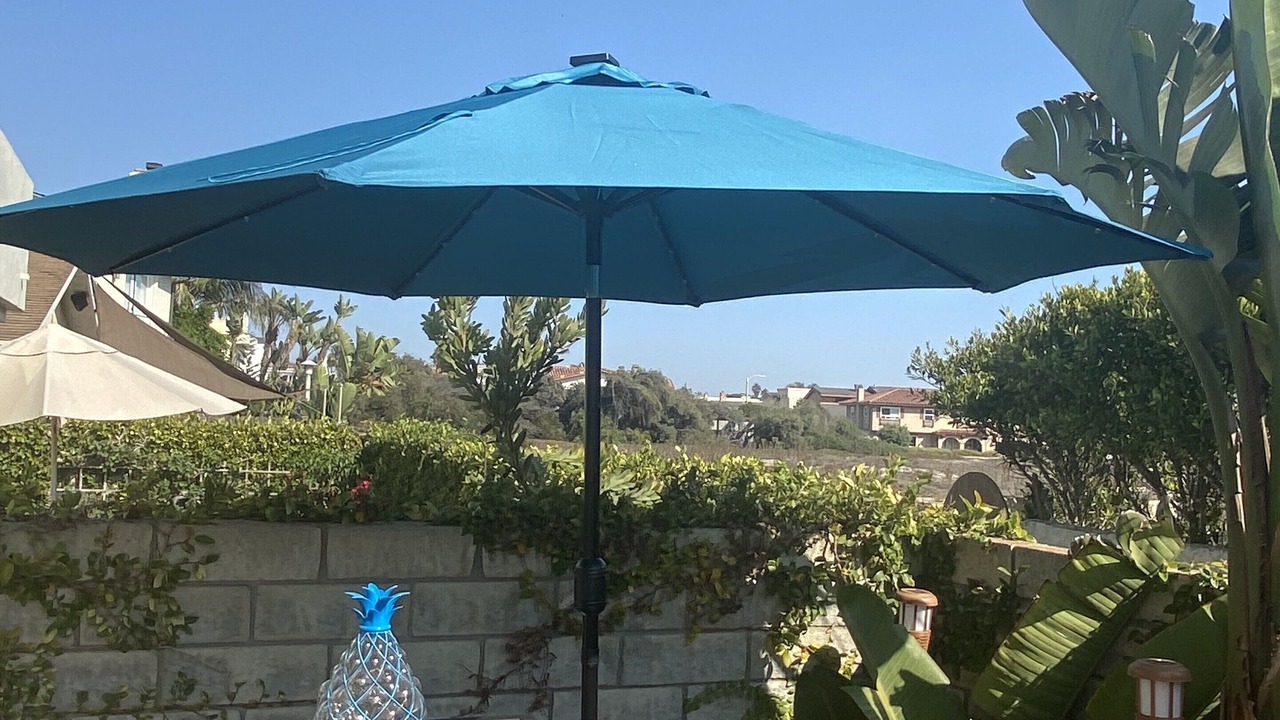 Photo of Outdoor in Oxnard Shores