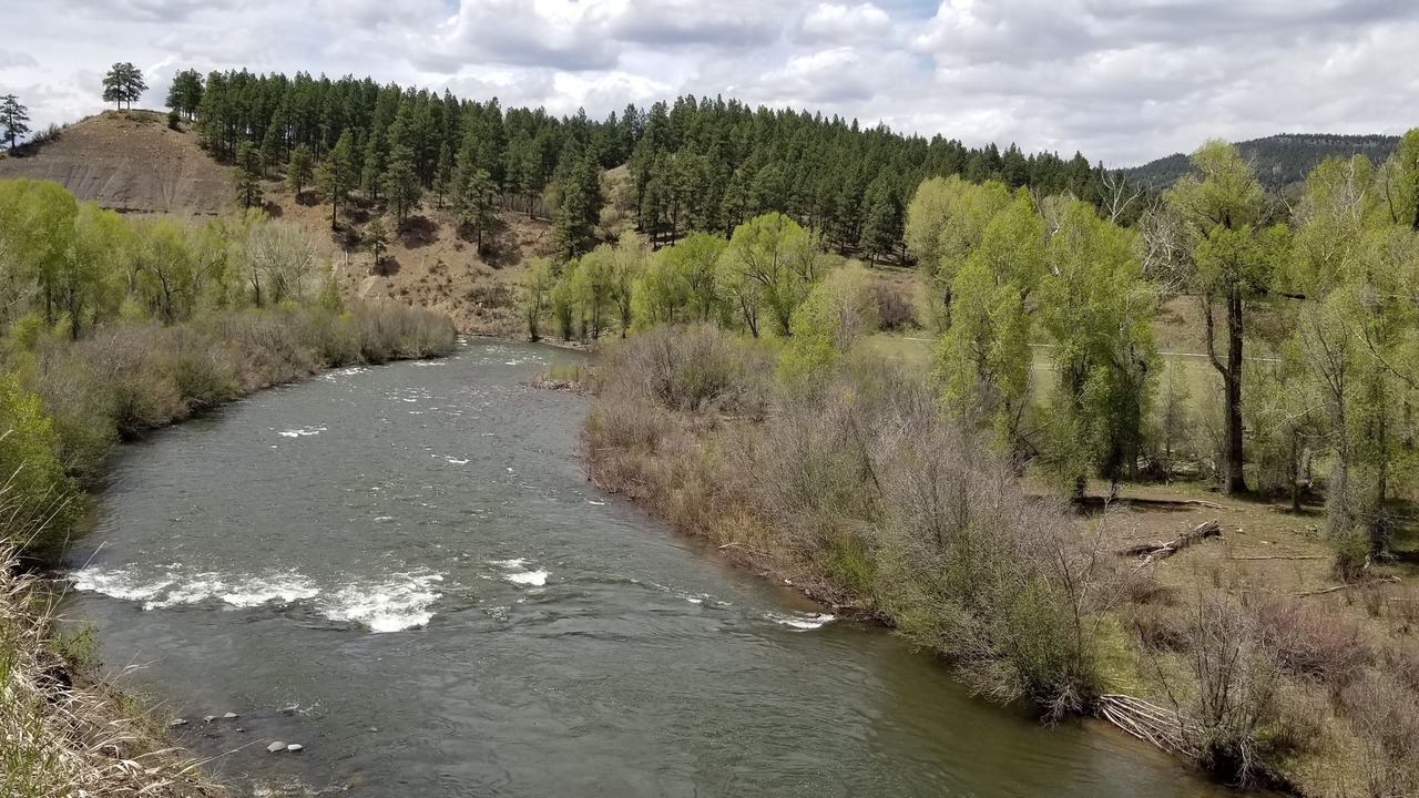 Photo of Others in Pagosa Springs