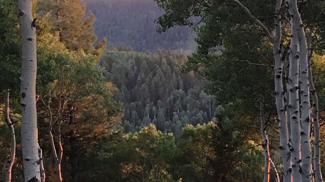 Photo of Outdoor in Cimarron