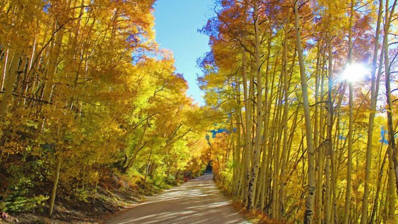 Photo of Outdoor in Peak 8