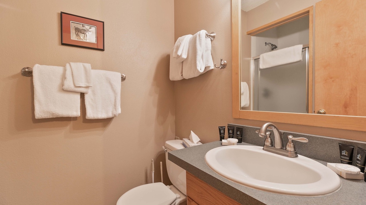 Photo of Bathroom in Peak 8