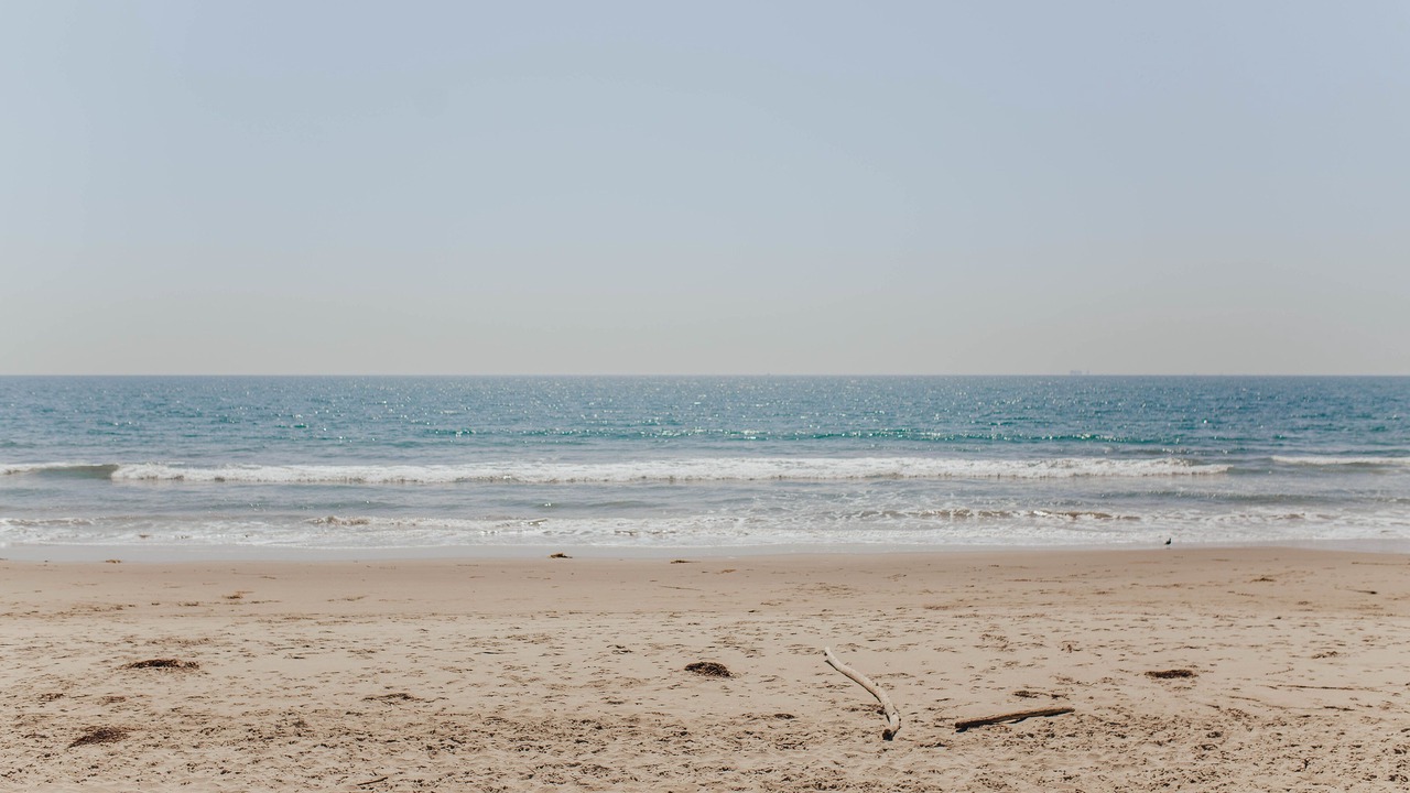 Photo of Others in La Conchita