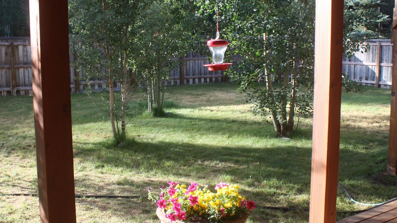 Photo of Outdoor in Red River