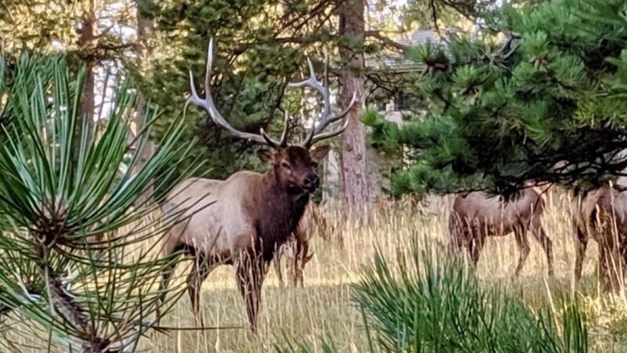 Photo of Others in Mount Vernon