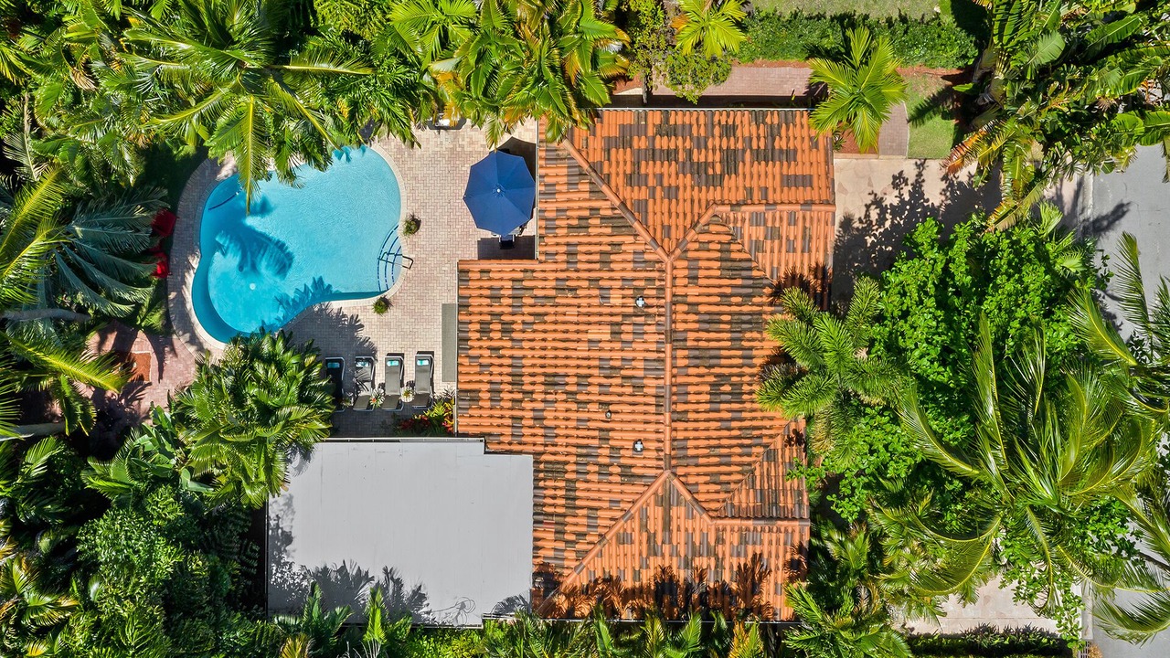 Photo of Outdoor in Poinsettia Heights