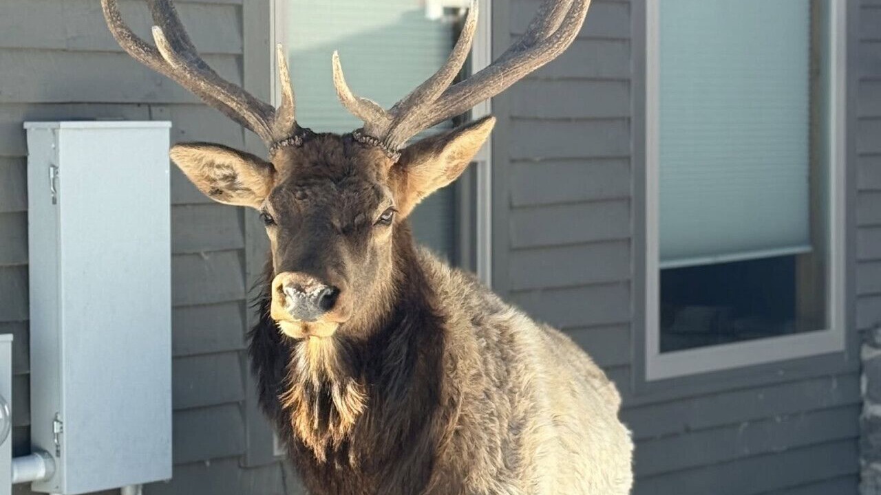 Photo of Others in Estes Park