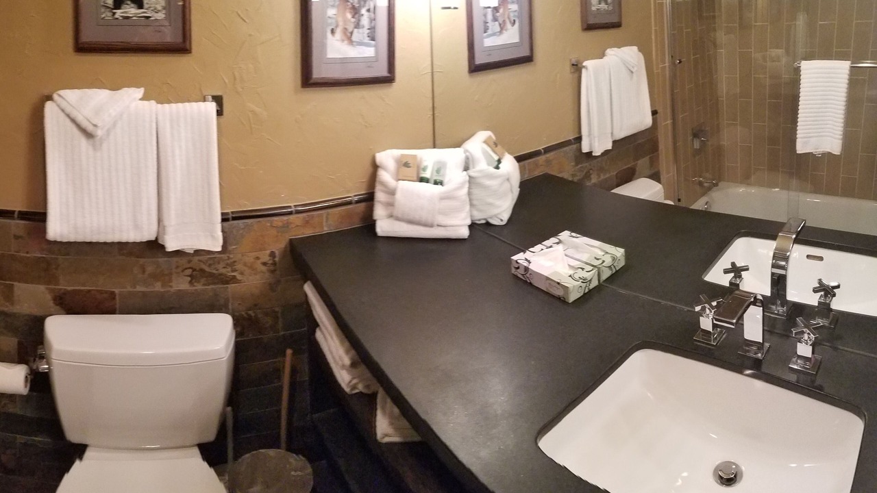 Photo of Bathroom in Warrior's Mark