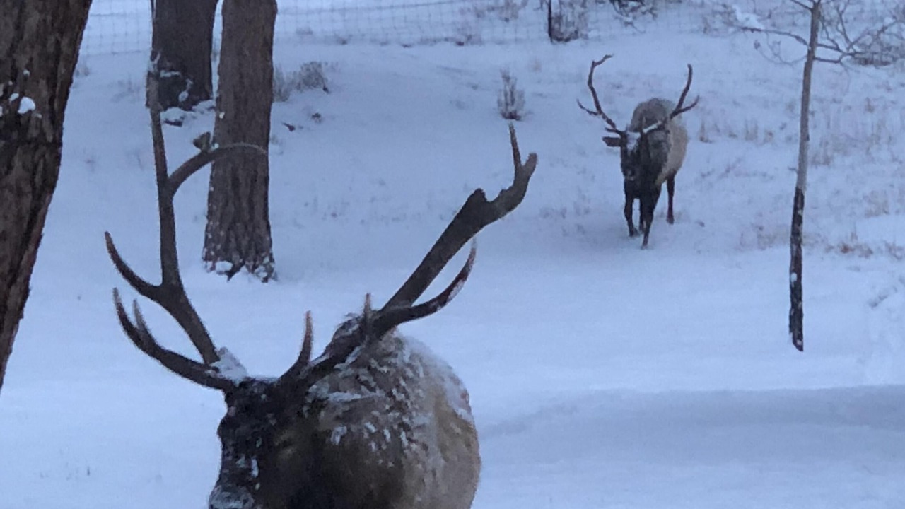 Photo of Others in Estes Park