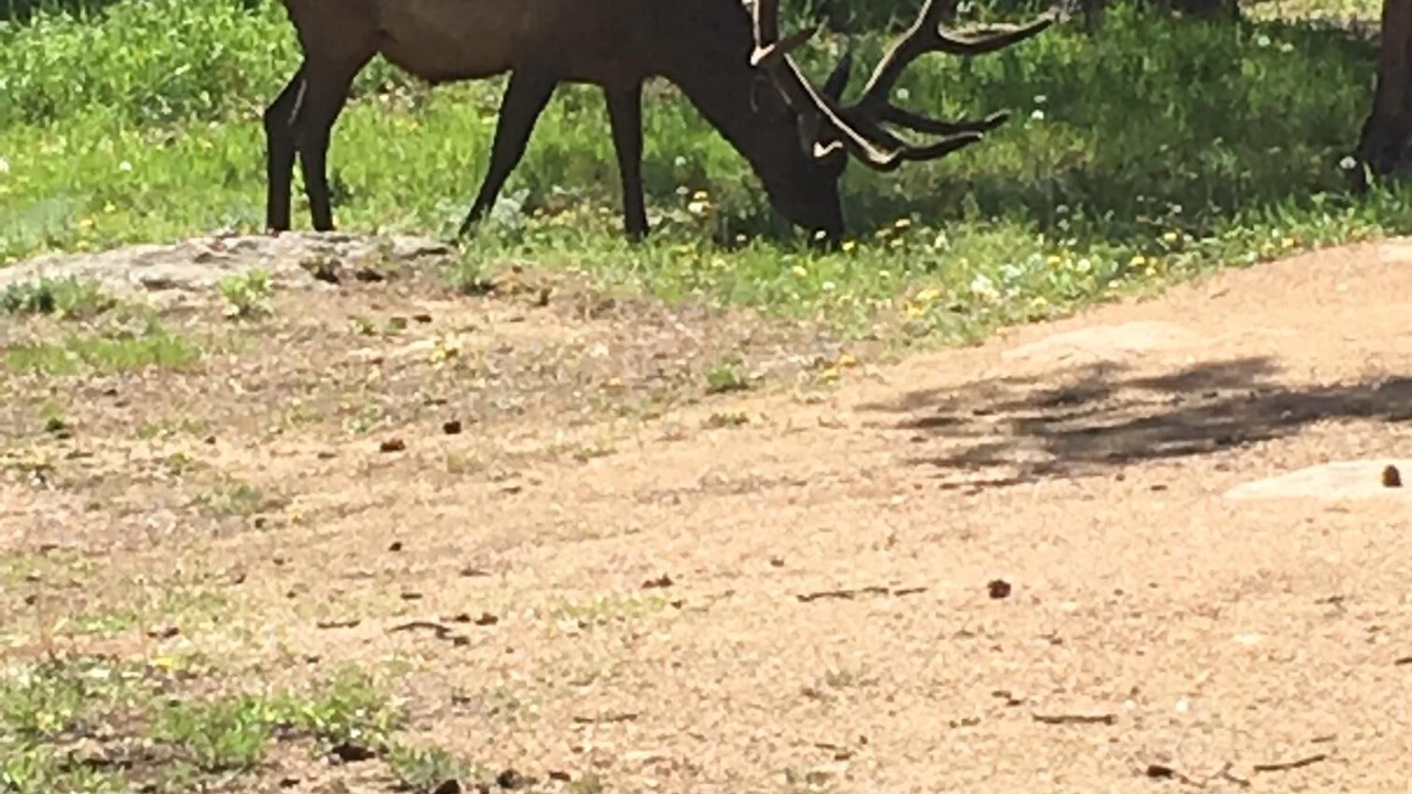 Photo of Outdoor in Estes Park