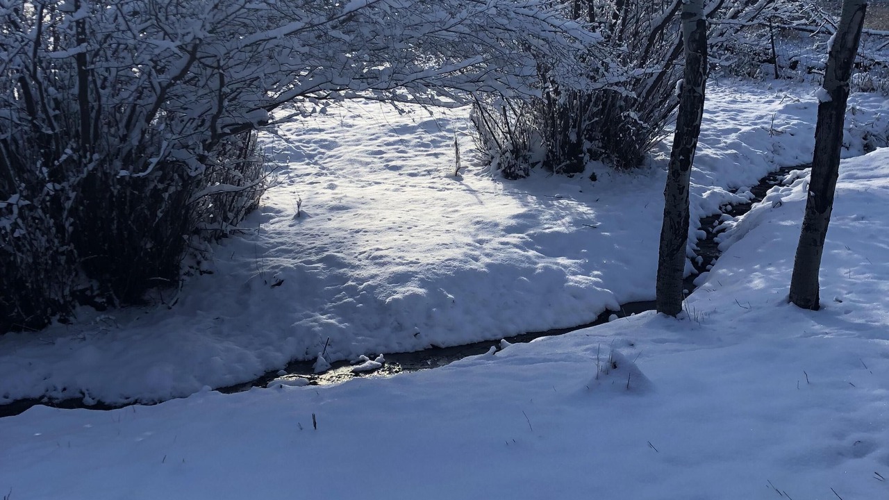Photo of Outdoor in Estes Park