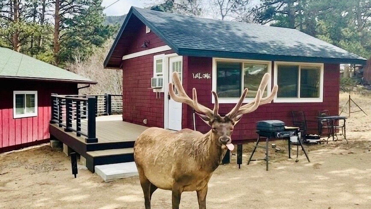 Photo of Patio Balcony in Estes Park