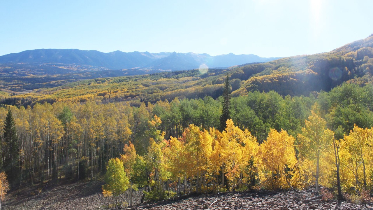 Photo of Others in Gunnison