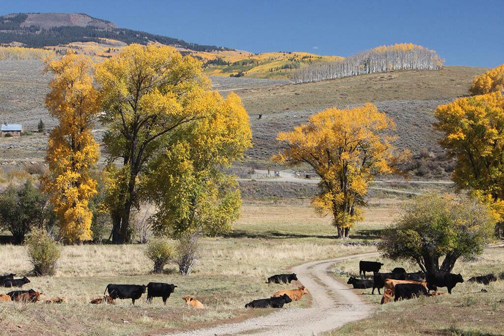 Photo of Outdoor in Gunnison