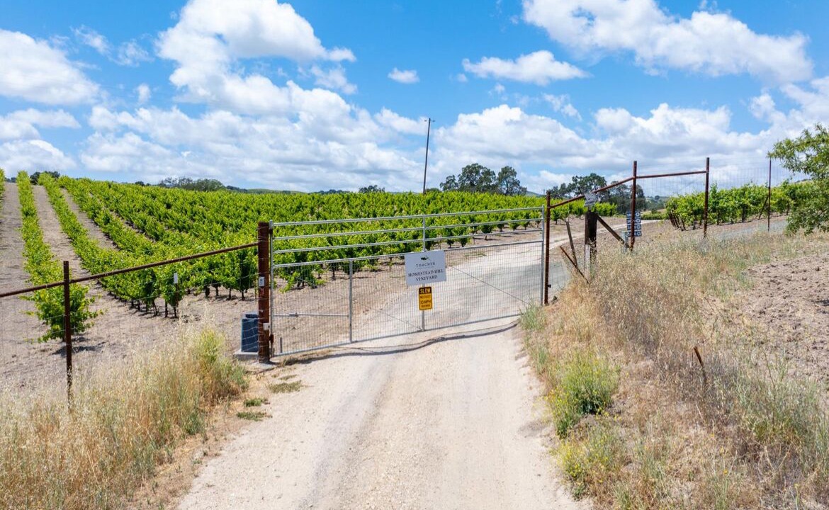 Photo of Others in Paso Robles