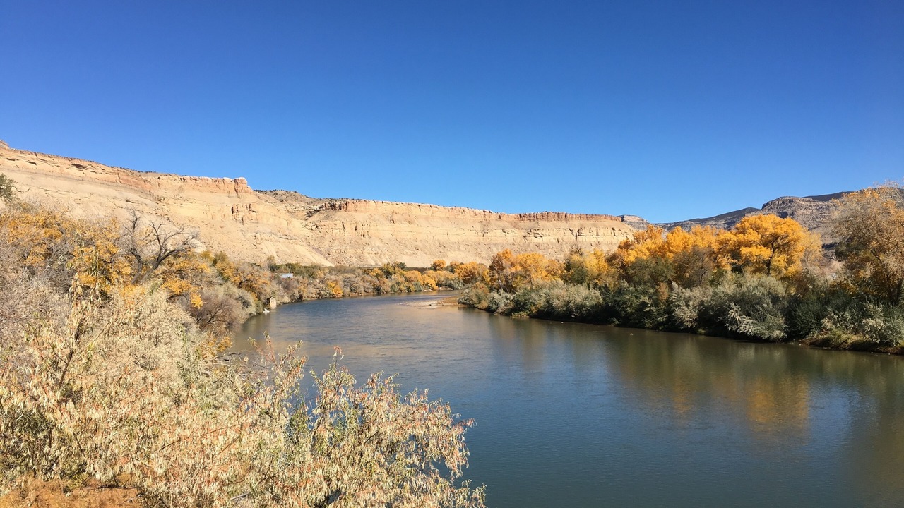 Photo of Others in Palisade