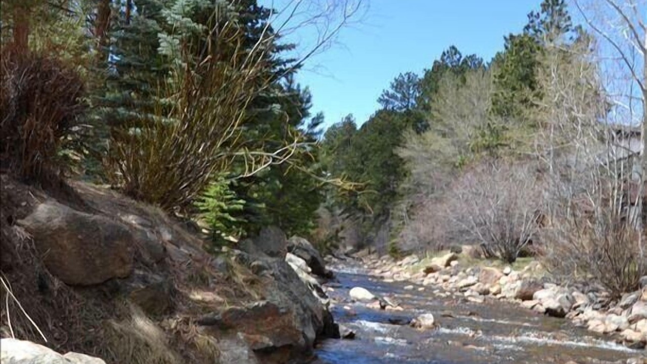 Photo of Others in Estes Park