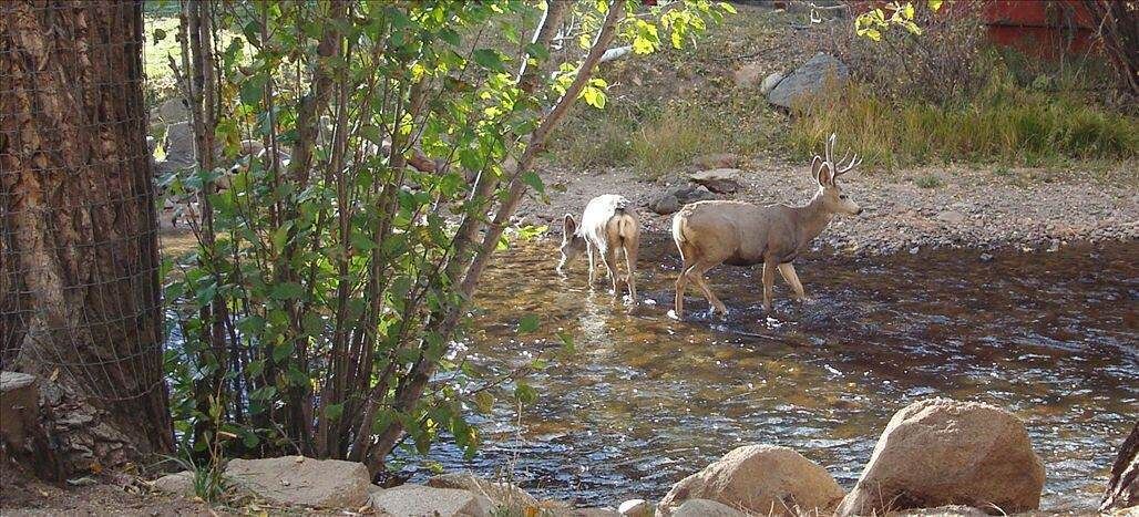 Photo of Others in Estes Park