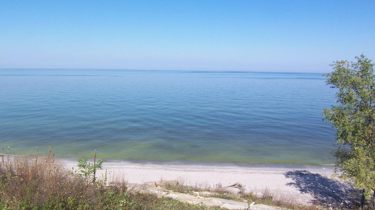 Photo of Others in Vermilion
