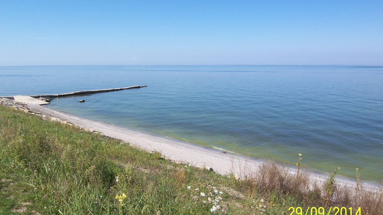 Photo of Others in Vermilion