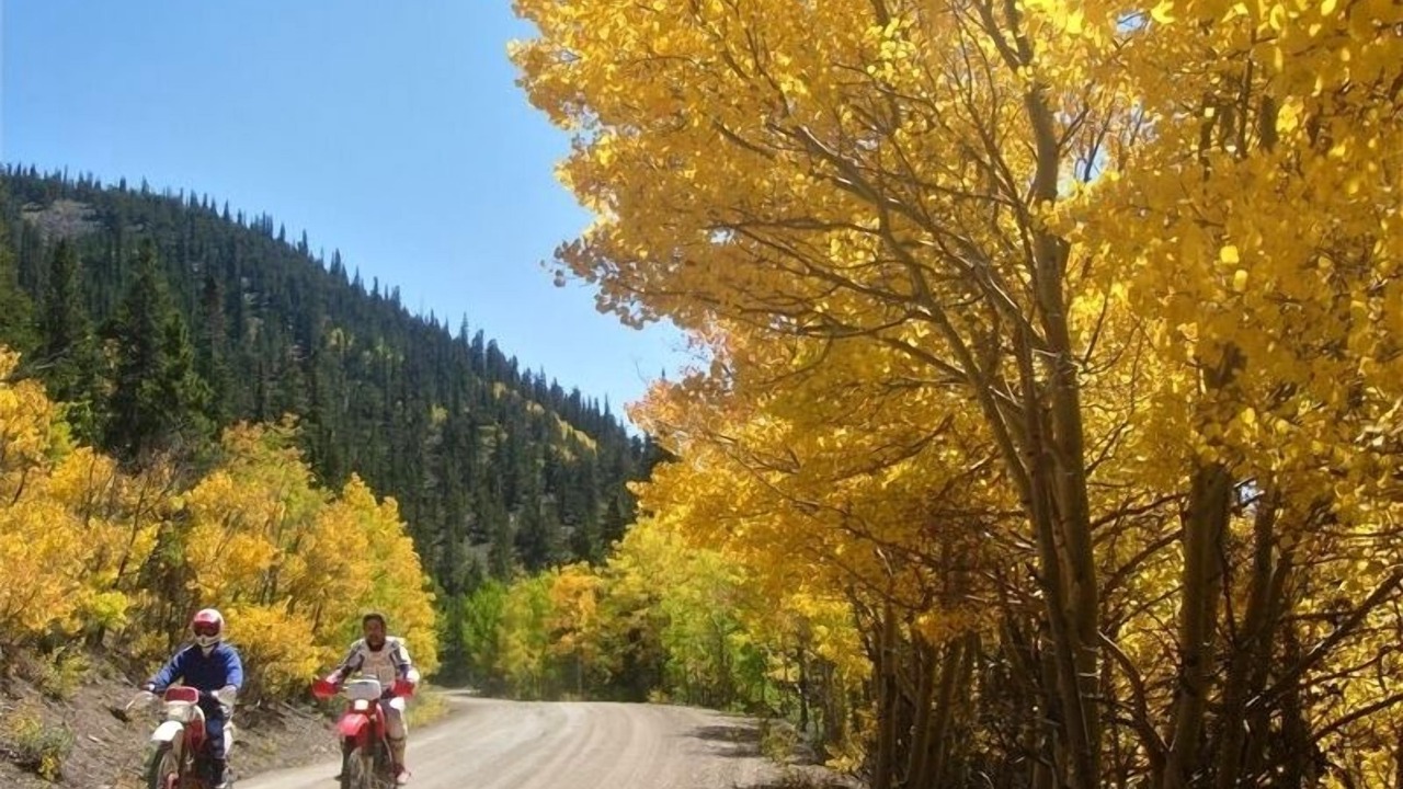 Photo of Others in Timber Trail