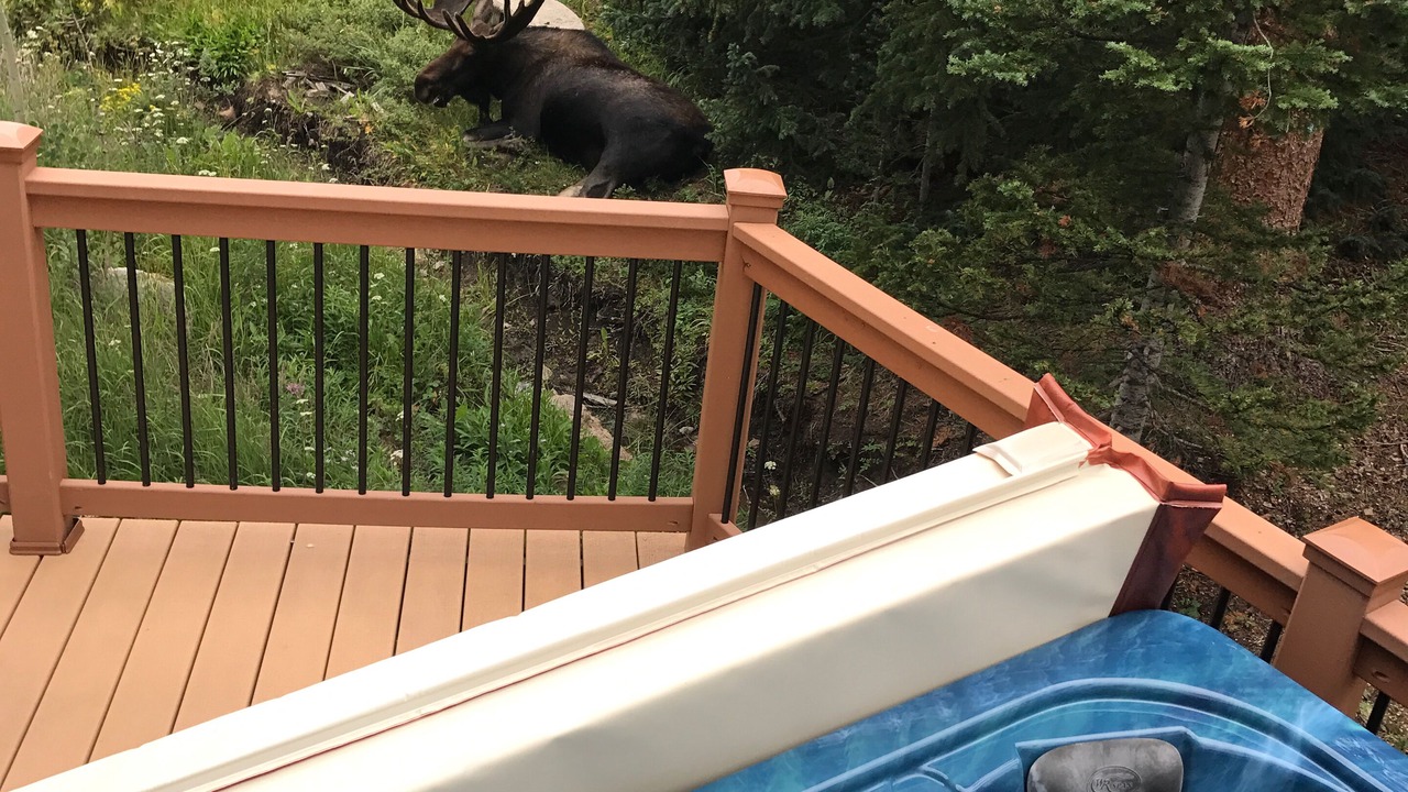 Photo of Others in Breckenridge