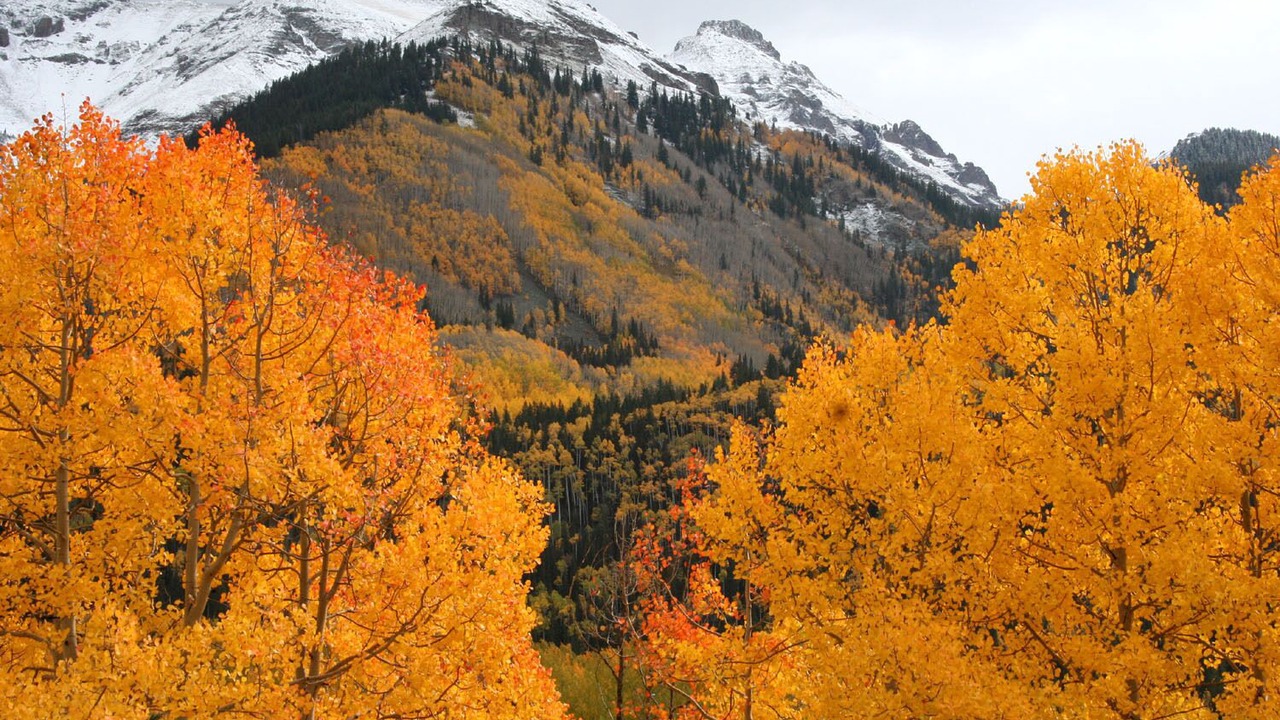 Photo of Others in Mancos