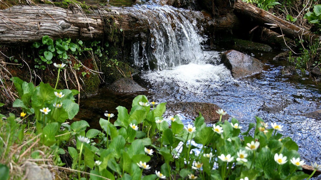 Photo of Outdoor in Mancos