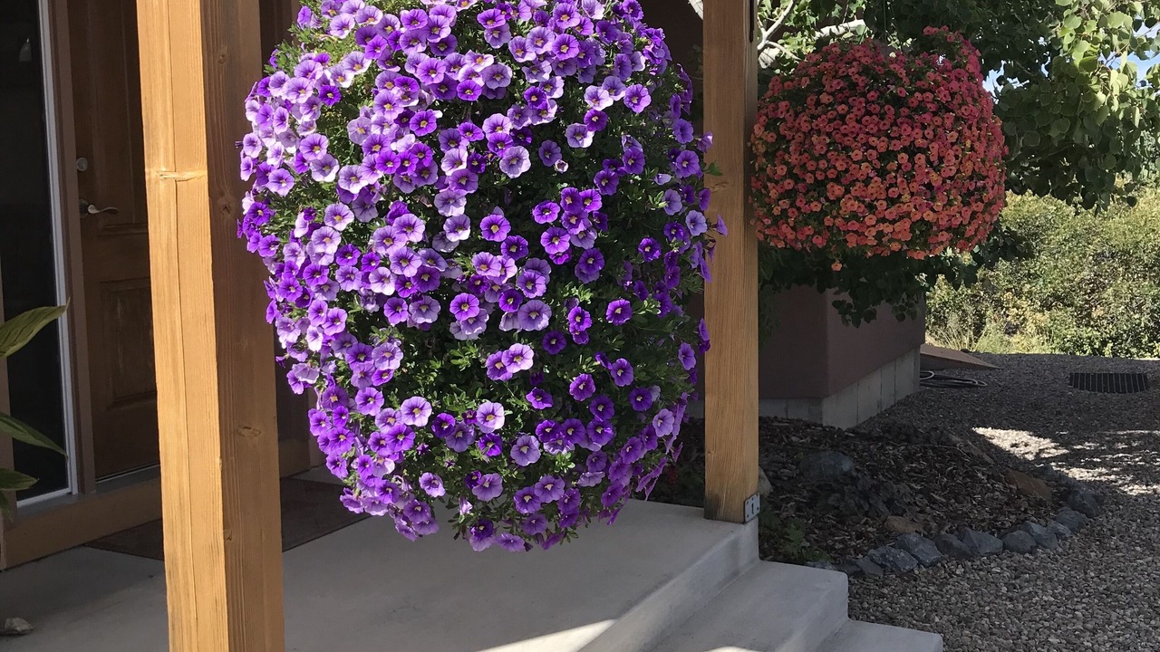 Photo of Outdoor in Mancos