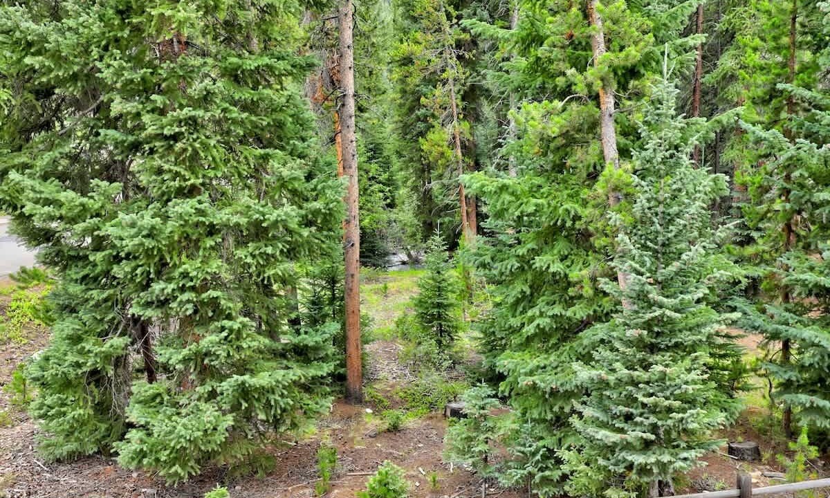 Photo of Others in Keystone
