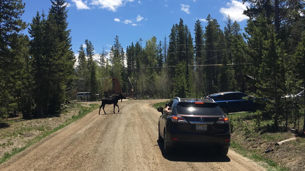 Photo of Others in Breckenridge
