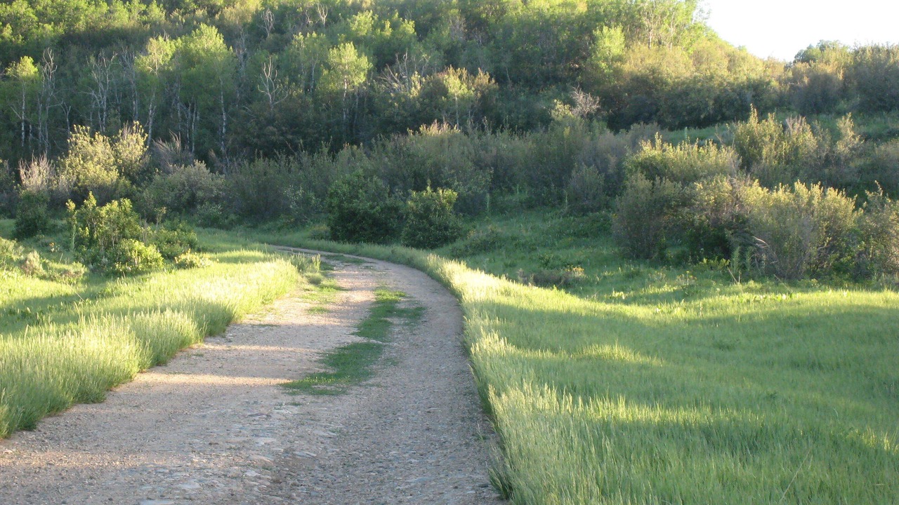 Photo of Others in Steamboat Springs