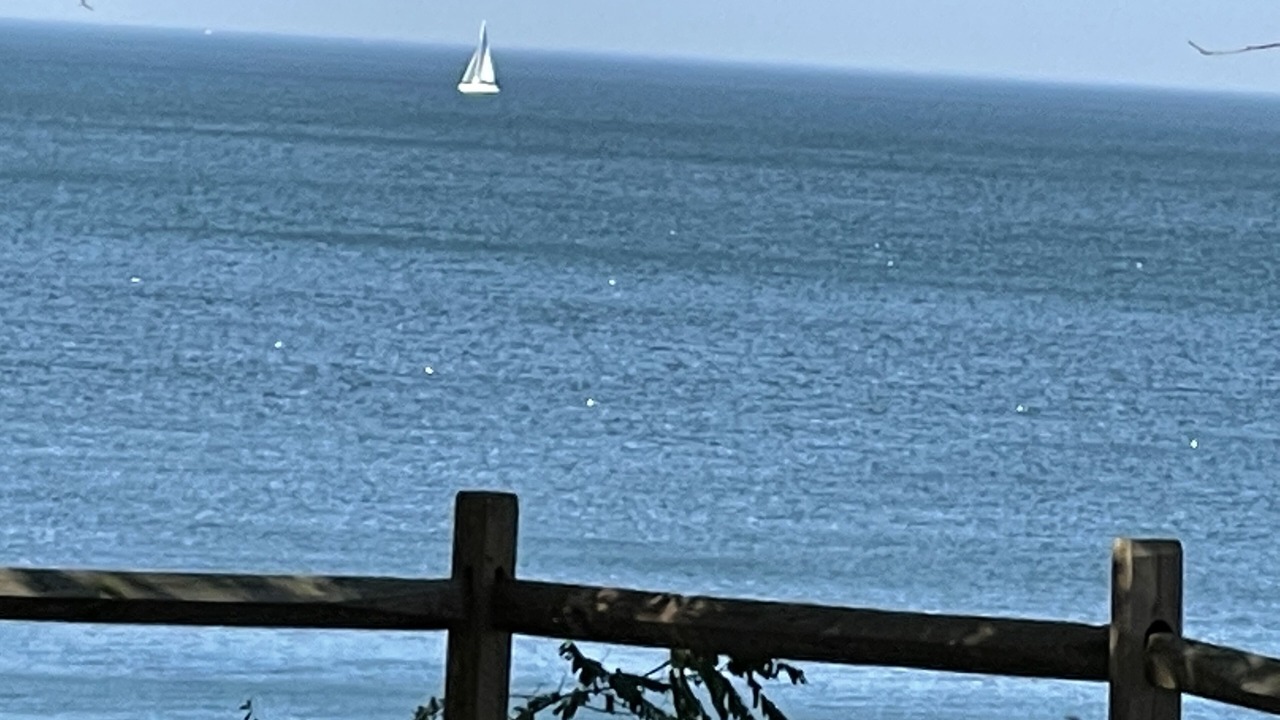 Photo of Others in Vermilion