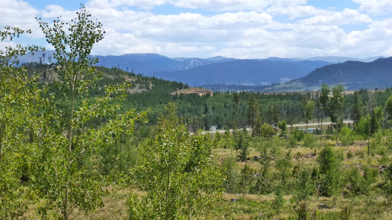 Photo of Others in Wildernest