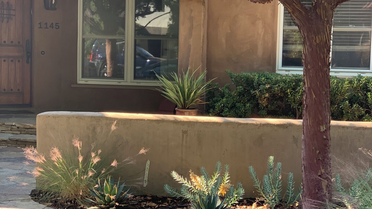 Photo of Outdoor in Broadway - Palmhaven