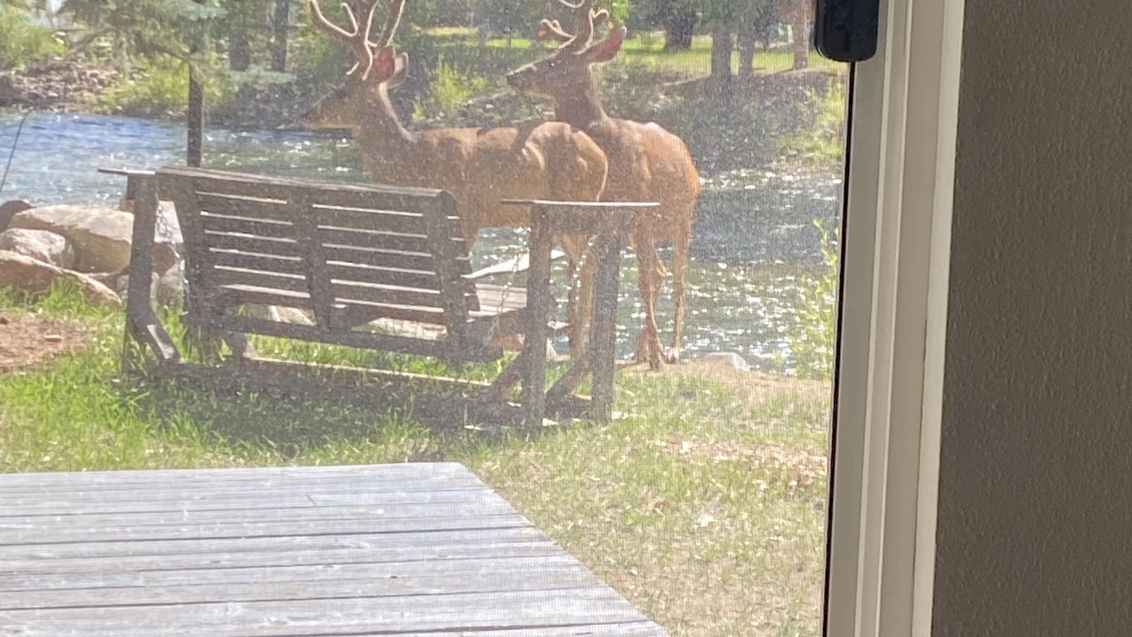Photo of Others in Gunnison