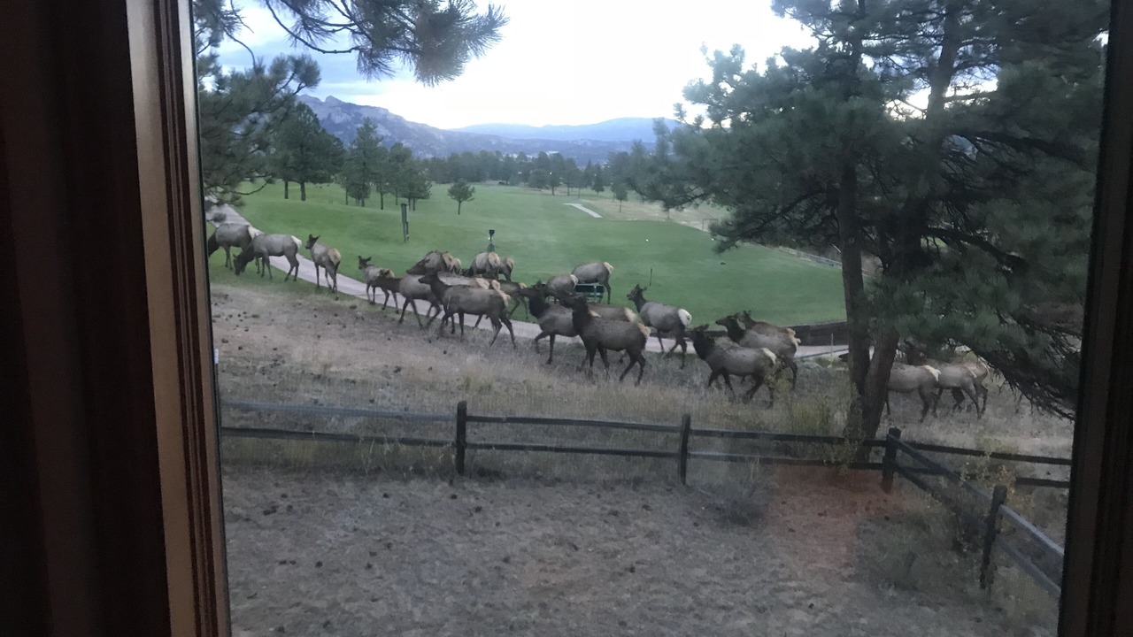Photo of Bedroom in Estes Park