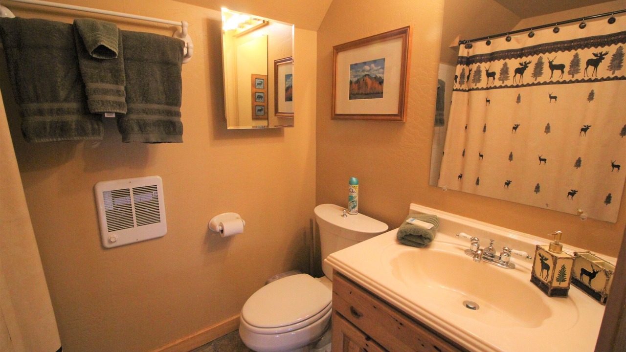 Photo of Bathroom in Pagosa Springs