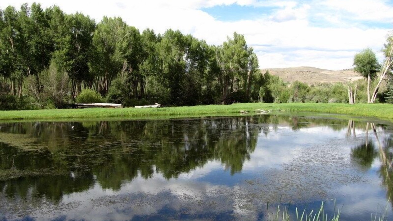 Photo of Others in Gunnison