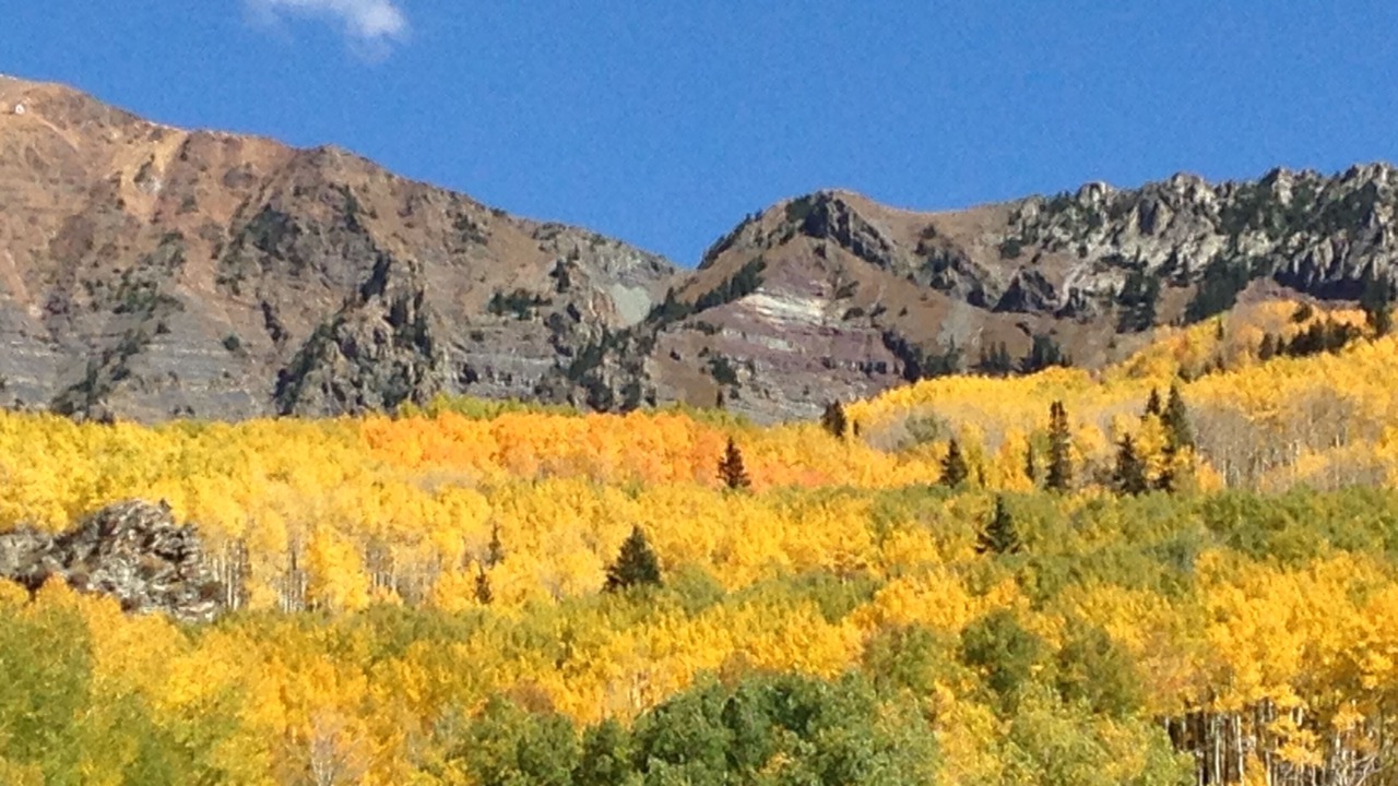 Photo of Others in Crested Butte