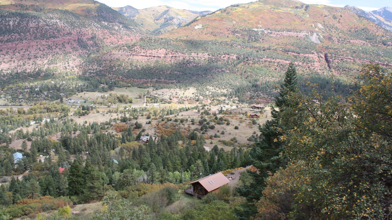 Photo of Others in Idlewild Estates