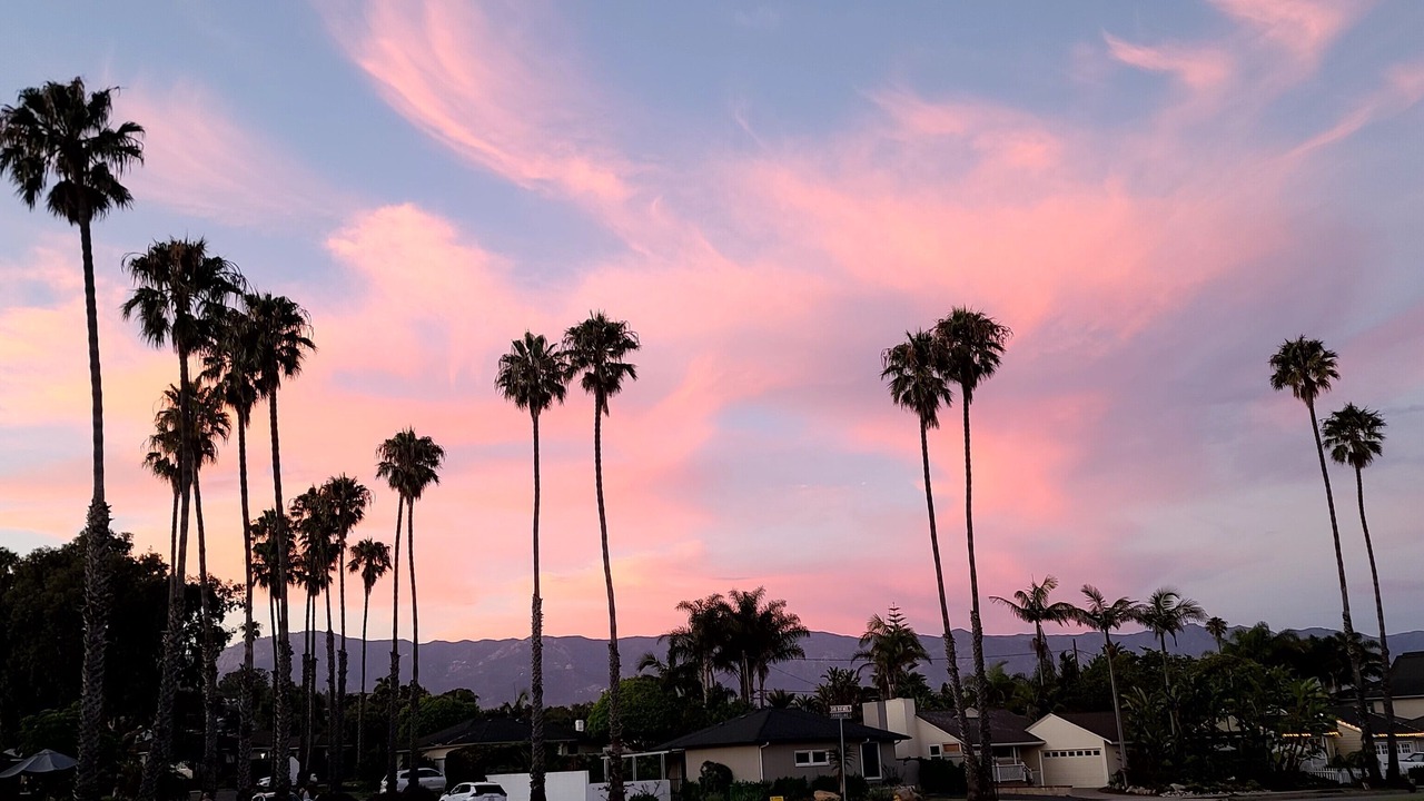 Photo of Others in East Mesa